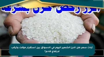 ثبات سعر طن الأرز الشعير اليوم في الأسواق بين استقرار مؤقت وترقب لارتفاع قادم؟